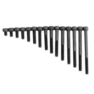 M5 Cap Head Bolts