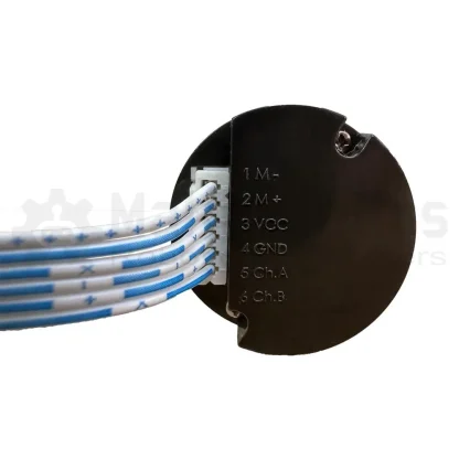 12V 36mm Planetary Geared DC Motor - High Torque 100RPM - With Encoder ...